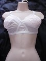 Shapely Figured White Bra
